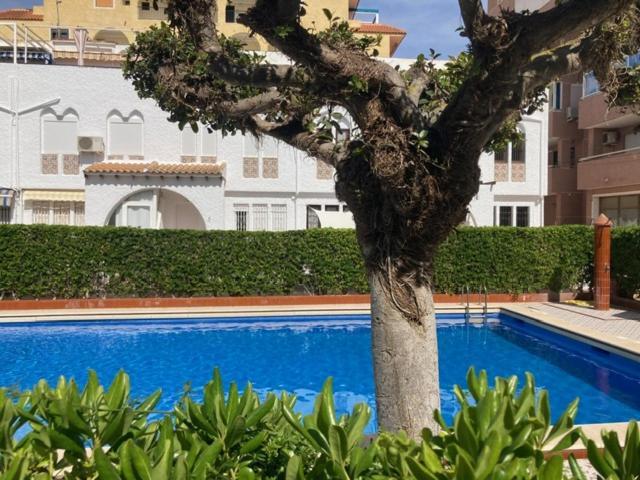 Villa Casa Torrevieja La Mata Exterior foto
